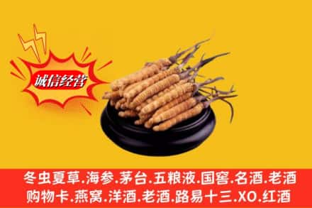 天水市武山回收虫草多少钱每克
